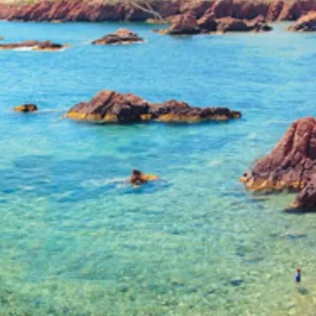 Les Lauriers Roses * Saint-Raphael (Var)