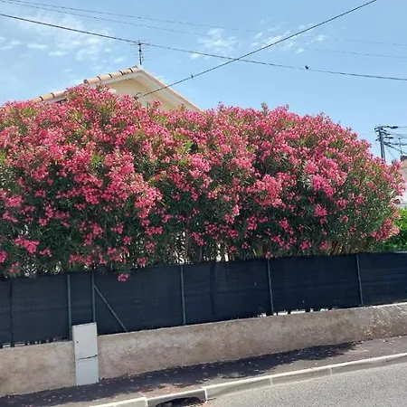 Les Lauriers Roses *